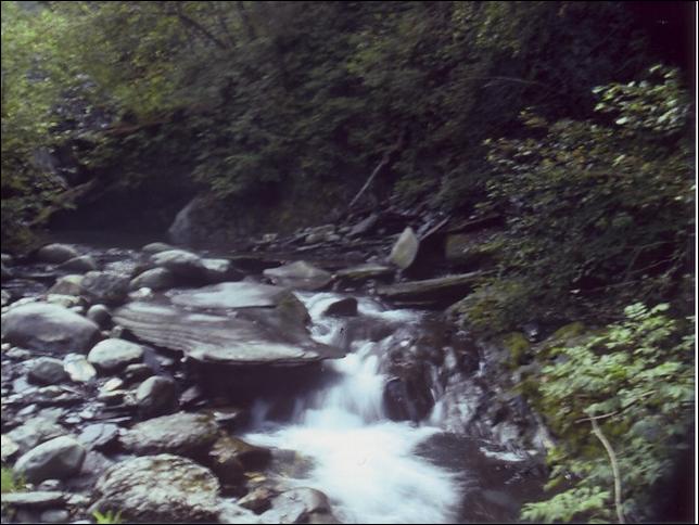 Le Morel basses eaux