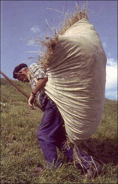 un  carré  de  toile  de jute